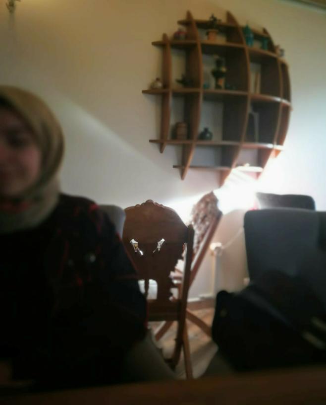 Zeynep  Akgül 