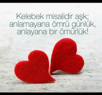 ahmet bekar