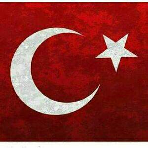 aynur polat