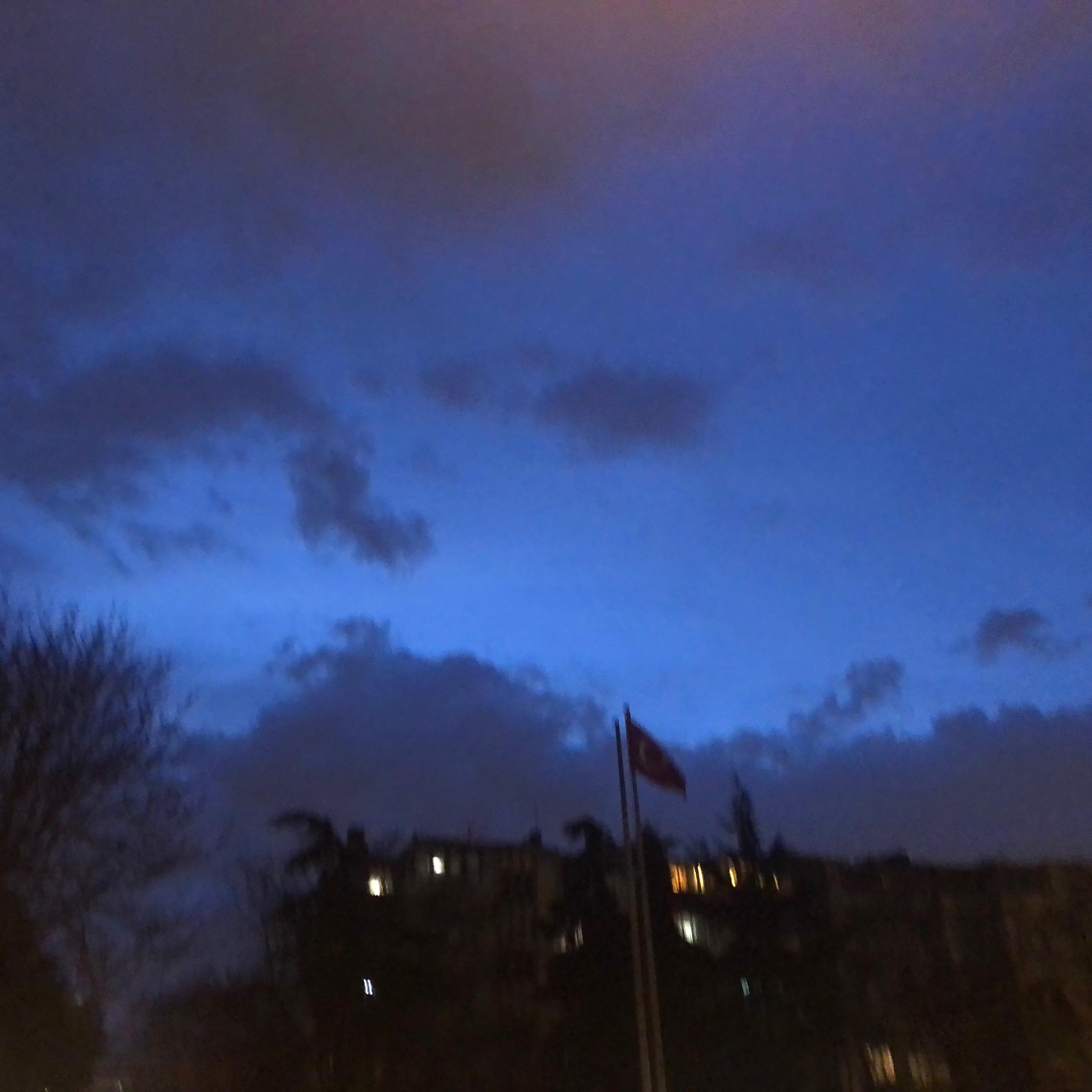 Ayşegül Özçalışkan