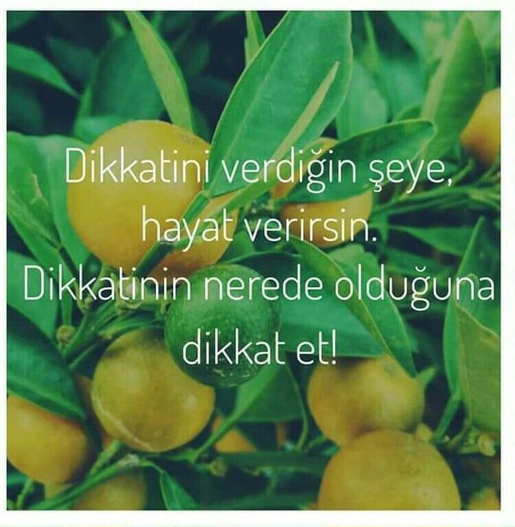 uslub beyan