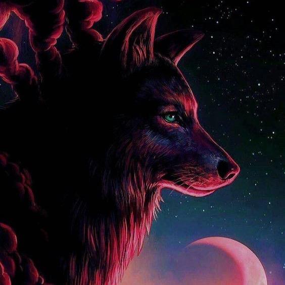 Asena 🐺