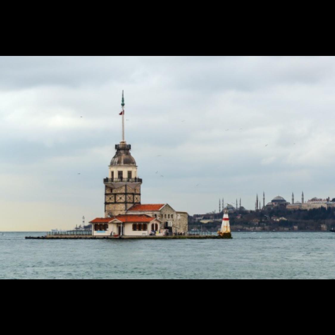 selin yildirir